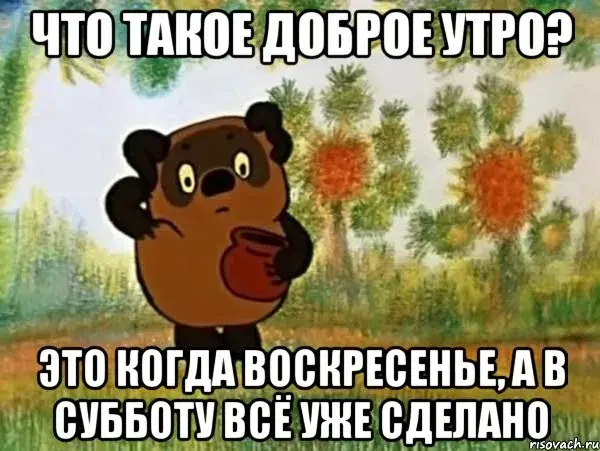 Открытка Открытки на воскресенье - Мишка в лесу: открытка с добрым утром | Красивая открытка #25