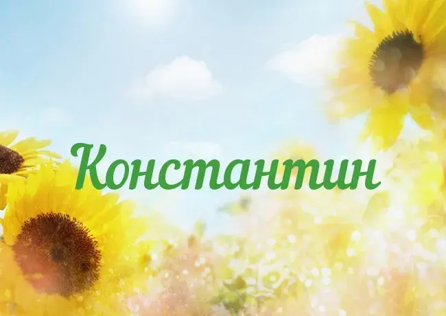 Открытка Открытки с именем Константин  - Открытка с подсолнухами на фоне голубого неба | Красивая открытка #198