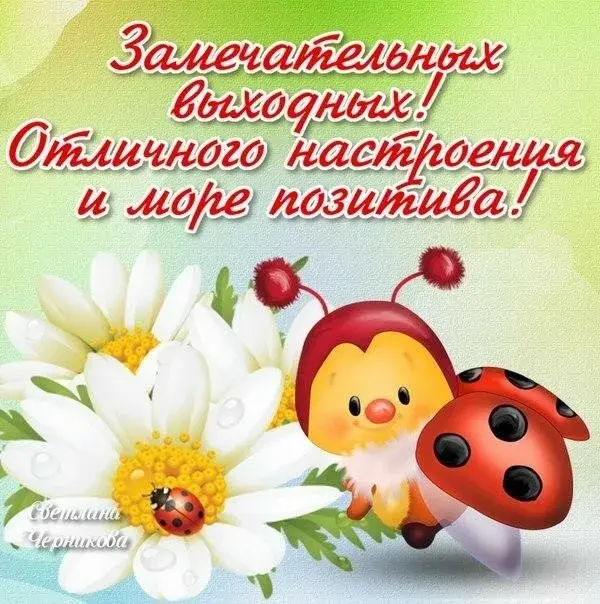 Открытка С субботой - Открытка с божьей коровкой и цветами | Красивая открытка #21