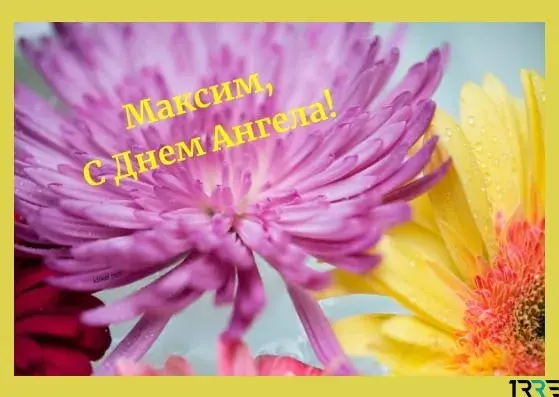 Открытка Открытки с именем Максим  - Розовый цветок на фоне воды | Красивая открытка #41
