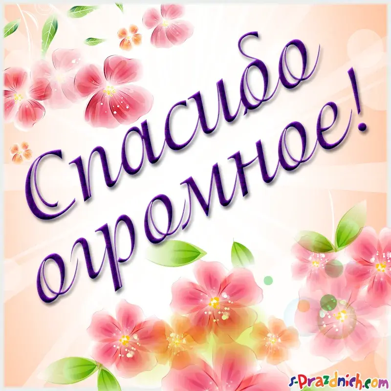 Открытка Спасибо - Открытка с розовыми цветами | Красивая открытка #6