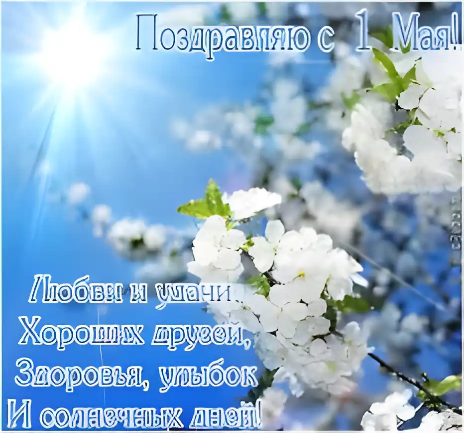 Открытка открытки на 1 мая - Цветущая вишня на голубом фоне | Красивая открытка #97
