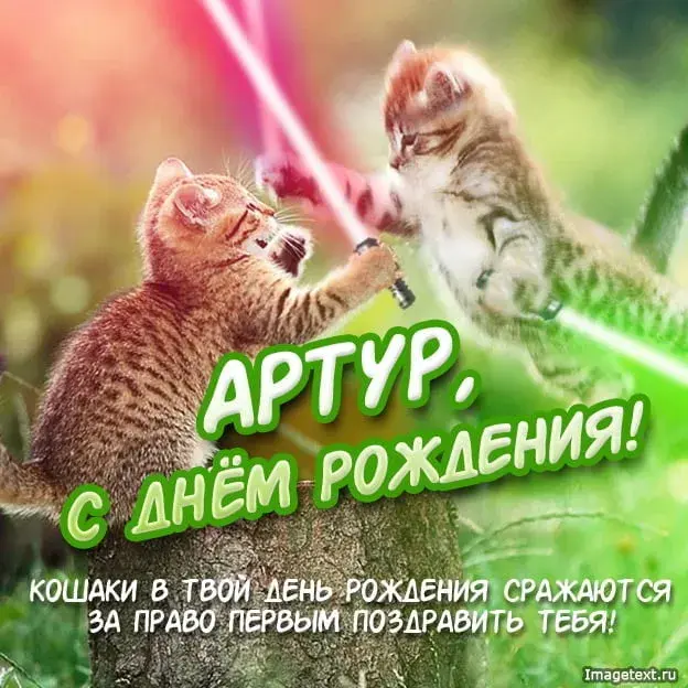 Открытка открытки с именем Артур - Два кота дерутся с бластерами: Открытка с днем рождения | Красивая открытка #178