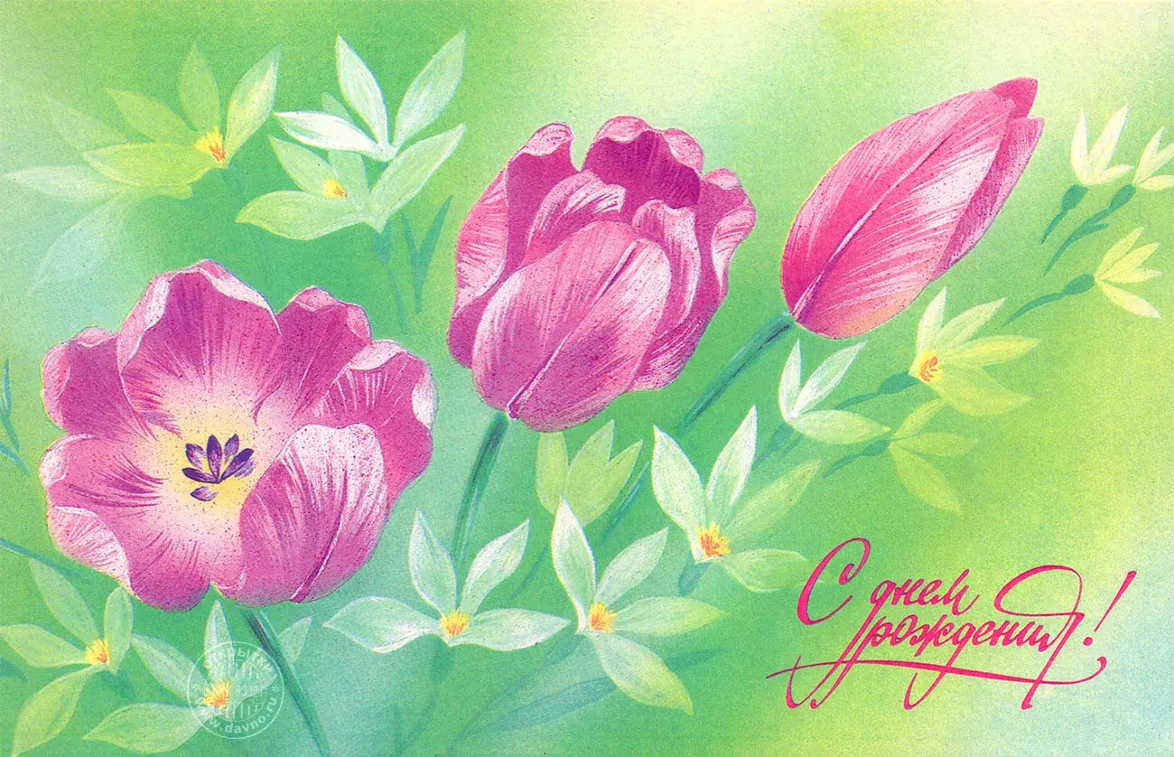 Открытка с днем рождения - С днем рождения! Красивая открытка с цветами | Красивая открытка #153