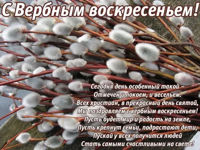 Открытка С вербным воскресеньем - Весенние ветки с пухом: поздравления с Пасхой | Красивая открытка #113