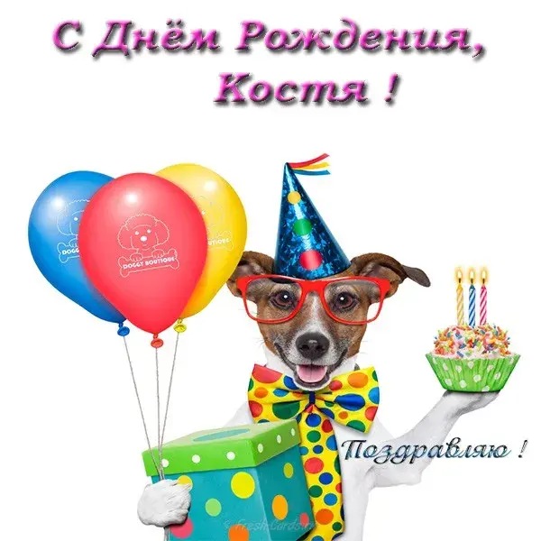 Открытка Открытки с именем Константин  - Открытка с днём рождения: щенок с тортом и подарками | Красивая открытка #182