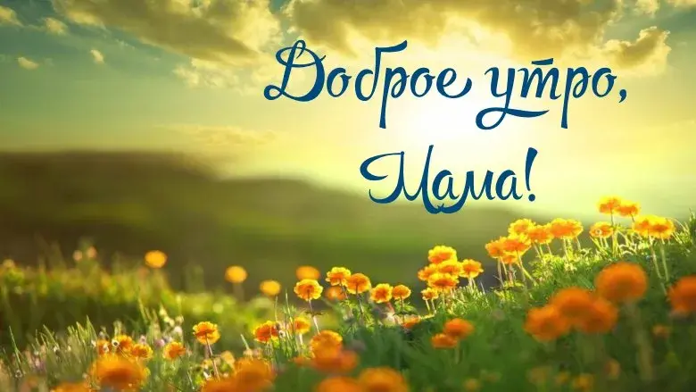Открытка Открытки доброе утро мама - Открытка с цветами: яркое утро и тепло! | Красивая открытка #37