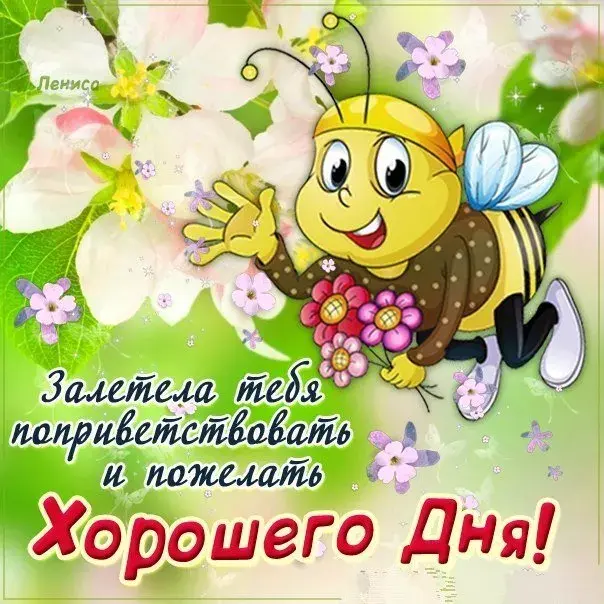 Открытка добрый день - Пчелка с цветами: Открытка с Днем рождения | Красивая открытка #56