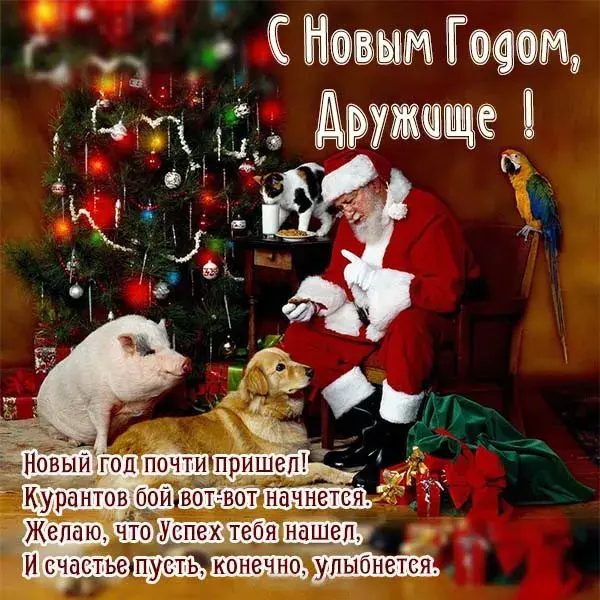 Открытка С Новым годом другу/подруге - Новый год: Санта, собака, попугай и ёлка | Красивая открытка #13