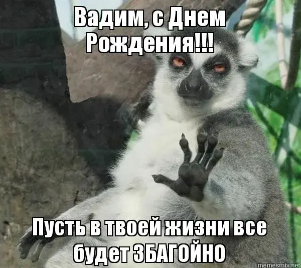 Открытка открытки с именем Вадим - Лемур с подписью "Пусть в твоей жизни все будет ЗБАГОЙНО" | Красивая открытка #256