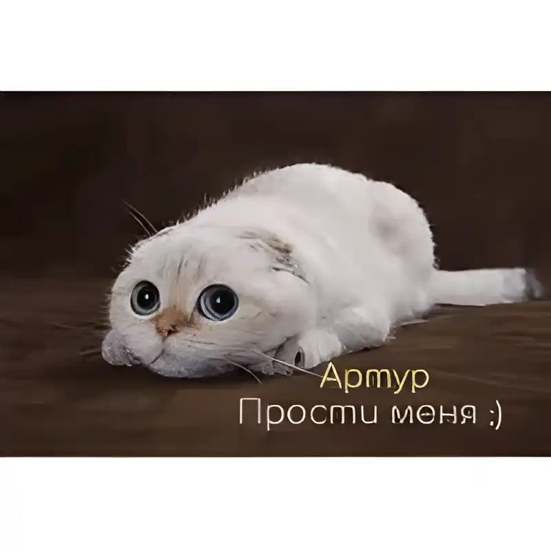 Открытка открытки с именем Артур - Открытка с котенком: милый подарок! | Красивая открытка #123