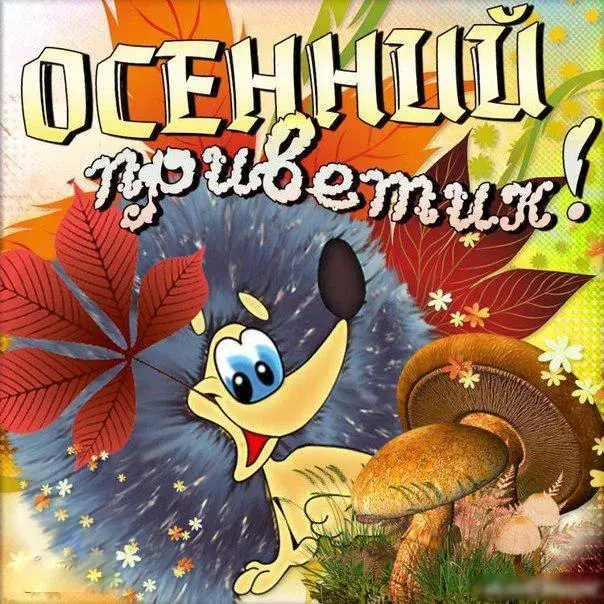 Открытка осенний привет - Ежик и гриб: праздничная открытка | Красивая открытка #7