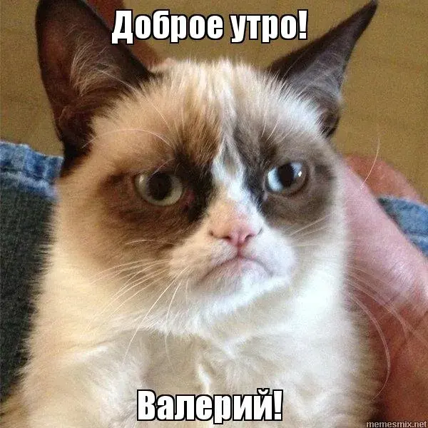 Открытка Открытки с именем Валерий - Грустный кот: смешная открытка с котиком | Красивая открытка #234