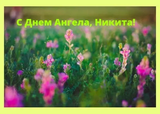 Открытка Открытки с именем Никита - Полевые цветы: нежная открытка с праздником | Красивая открытка #101