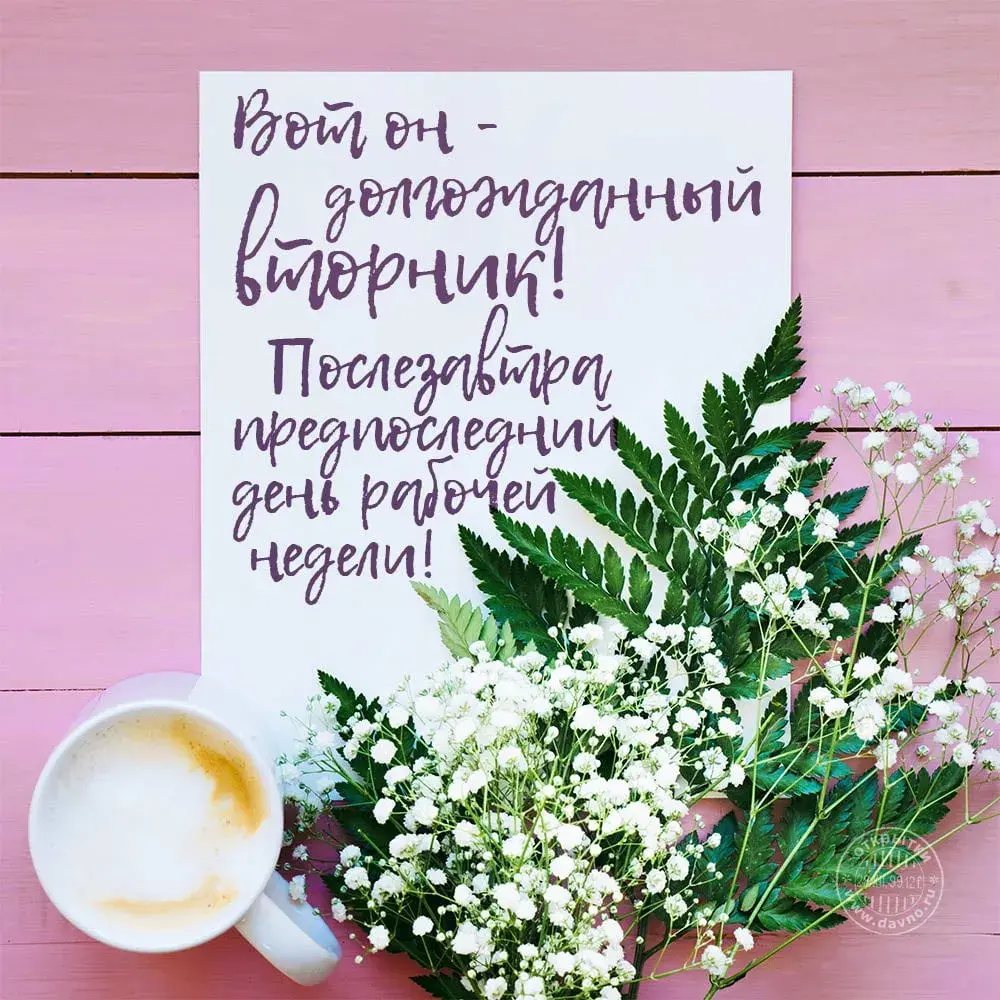 Открытка Открытки на вторник - Открытка с цветами и чашкой кофе | Красивая открытка #17