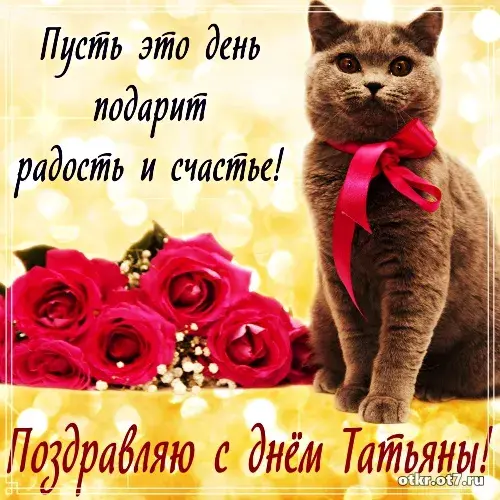Открытка открытки на Татьянин день  - Открытка: Кот с красными розами | Красивая открытка #128