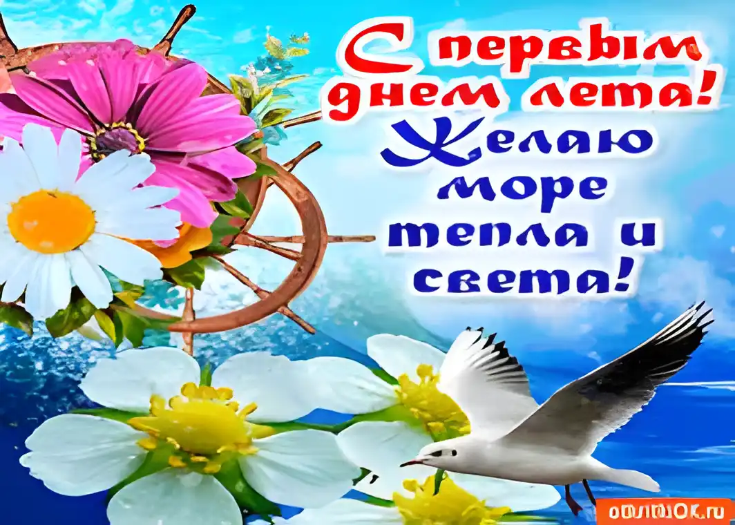 Открытка Первый день лета - Открытка с чайкой, цветами и штурвалом | Красивая открытка #5