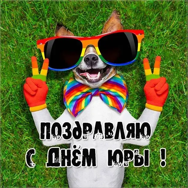 Открытка Открытки с именем Юрий - Собака в очках и бантике: поздравление с Днём! | Красивая открытка #110