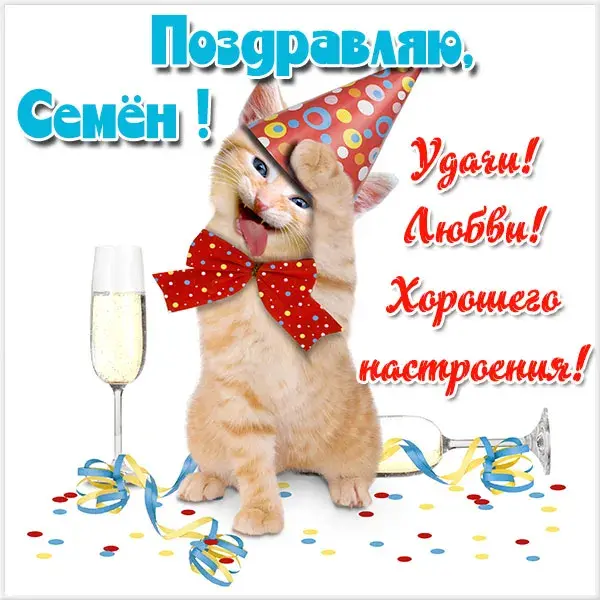 Открытка Открытки с именем Семен - Рыжий котенок в колпаке и бантике с бокалом шампанского | Красивая открытка #201