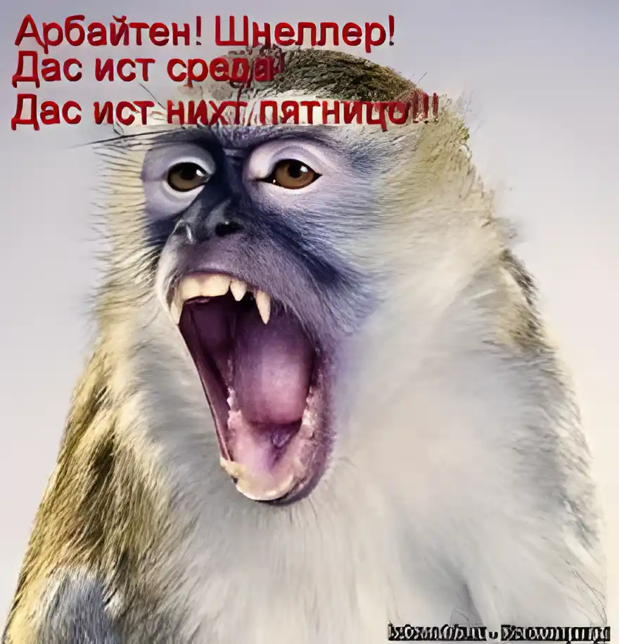 Открытка Открытки на среду - Кричащий макака: смешная открытка с обезьяной | Красивая открытка #152