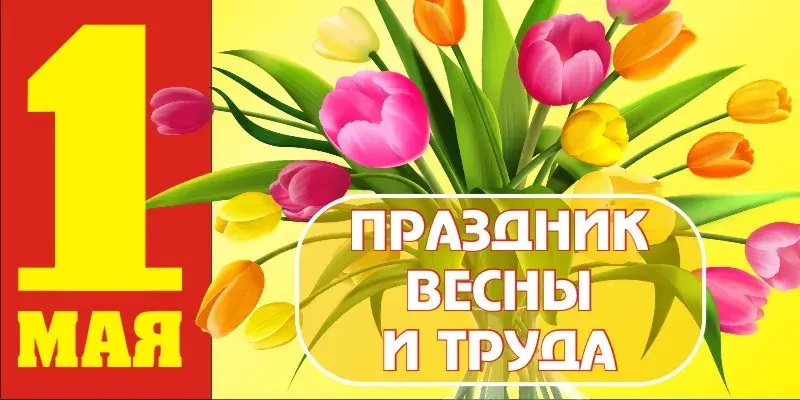 Открытка 1 мая - Праздник 1 мая: открытка с тюльпанами | Красивая открытка #89