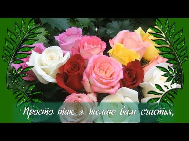Открытка Просто так - Букет роз: Красные, розовые и белые цветы | Красивая открытка #31