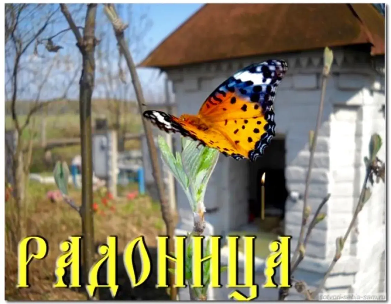 Открытка Родительский день - Красивая бабочка на фоне деревенского дома | Красивая открытка #14