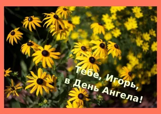 Открытка открытки с именем Игорь - Полевые цветы: поздравления с Днем! | Красивая открытка #221