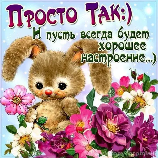 Открытка Просто так - Милый котенок на открытке с цветами | Красивая открытка #10