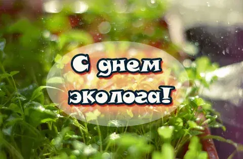 Открытка Всемирный день охраны окружающей среды - Открытка с травой и каплями росы | Красивая открытка #2