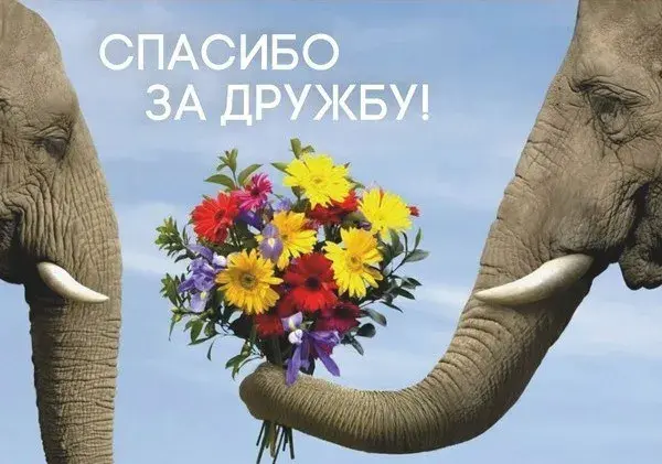 Открытка Спасибо за дружбу - Открытка: Слон держит букет цветов | Красивая открытка #11