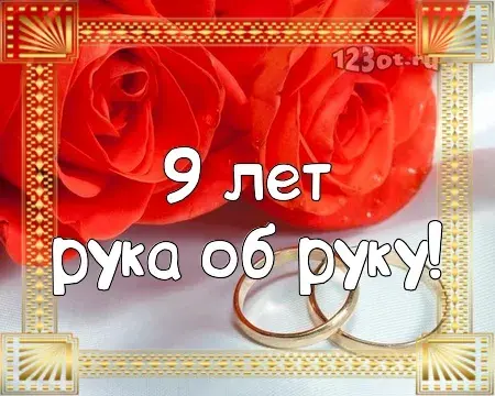 Открытка Открытки на Фаянсовую/Ромашковую свадьбу 9 лет - Обручальные кольца на фоне роз - открытка | Красивая открытка #14