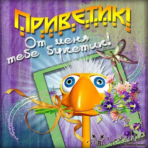 Открытка Привет - Открытка с птичкой и цветами | Красивая открытка #291