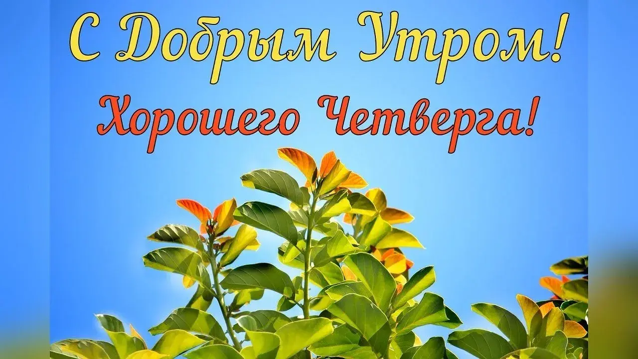 Открытка Доброе утро четверг - Красивые цветы для открыток | Красивая открытка #38