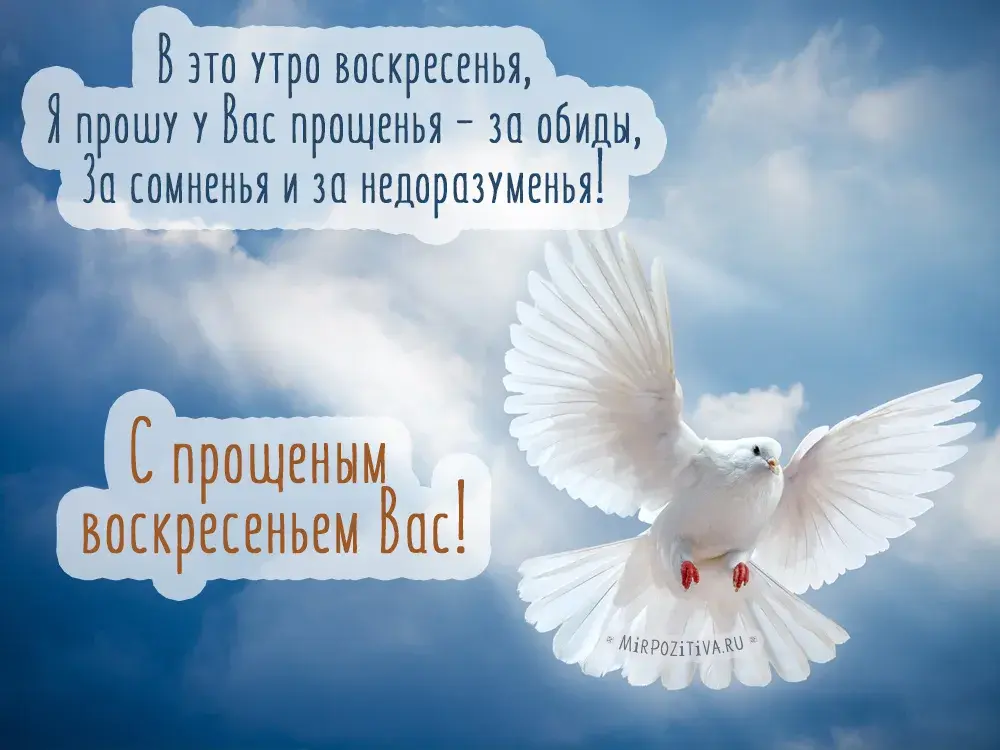 Открытка Прощеное воскресенье - Белый голубь на фоне голубого неба - открытка | Красивая открытка #1