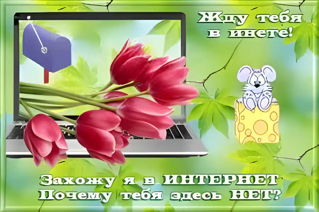 Открытка Открытки жду тебя - Открытка с тюльпанами и мышонком | Красивая открытка #75