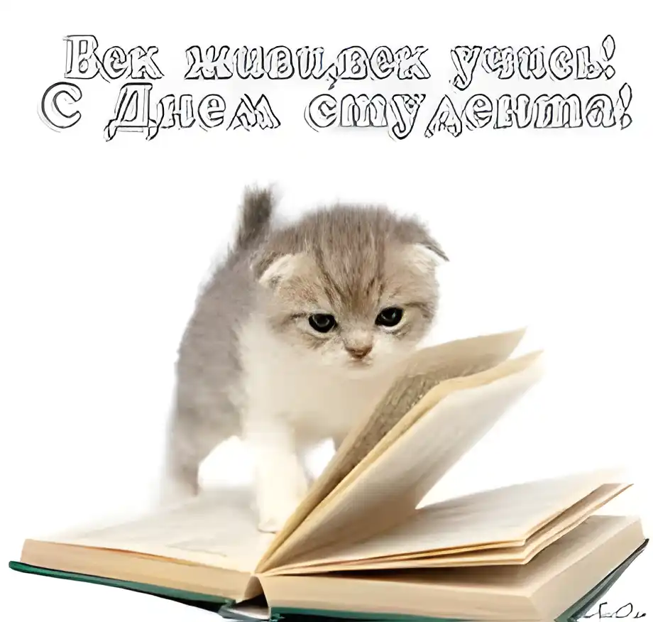 Открытка День студента - Открытка с котенком на книге | Красивая открытка #59