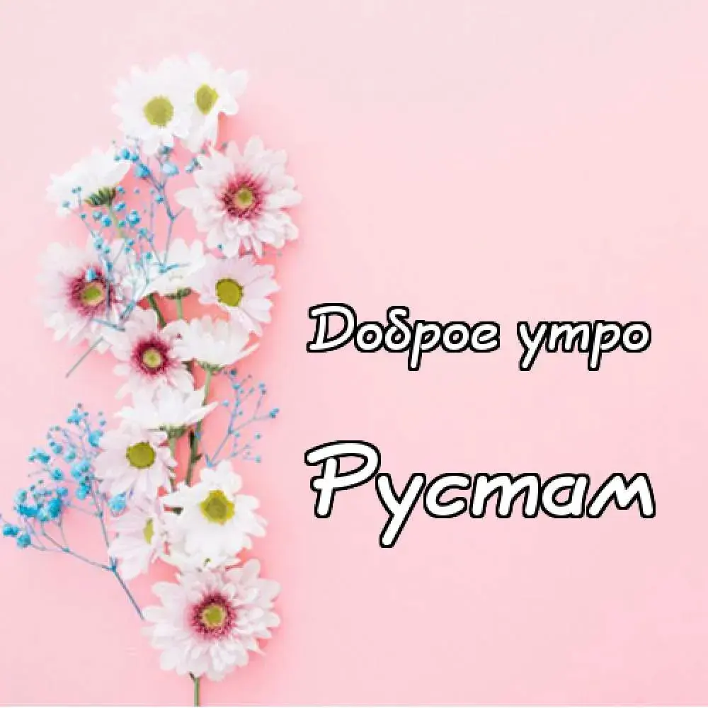 Открытка Открытки с именем Рустам - Открытка с цветами: ромашки и васильки | Красивая открытка #23