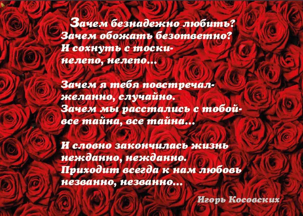 Открытка Стихи о любви - Розы на открытке: Красные розы, фон роз. | Красивая открытка #7