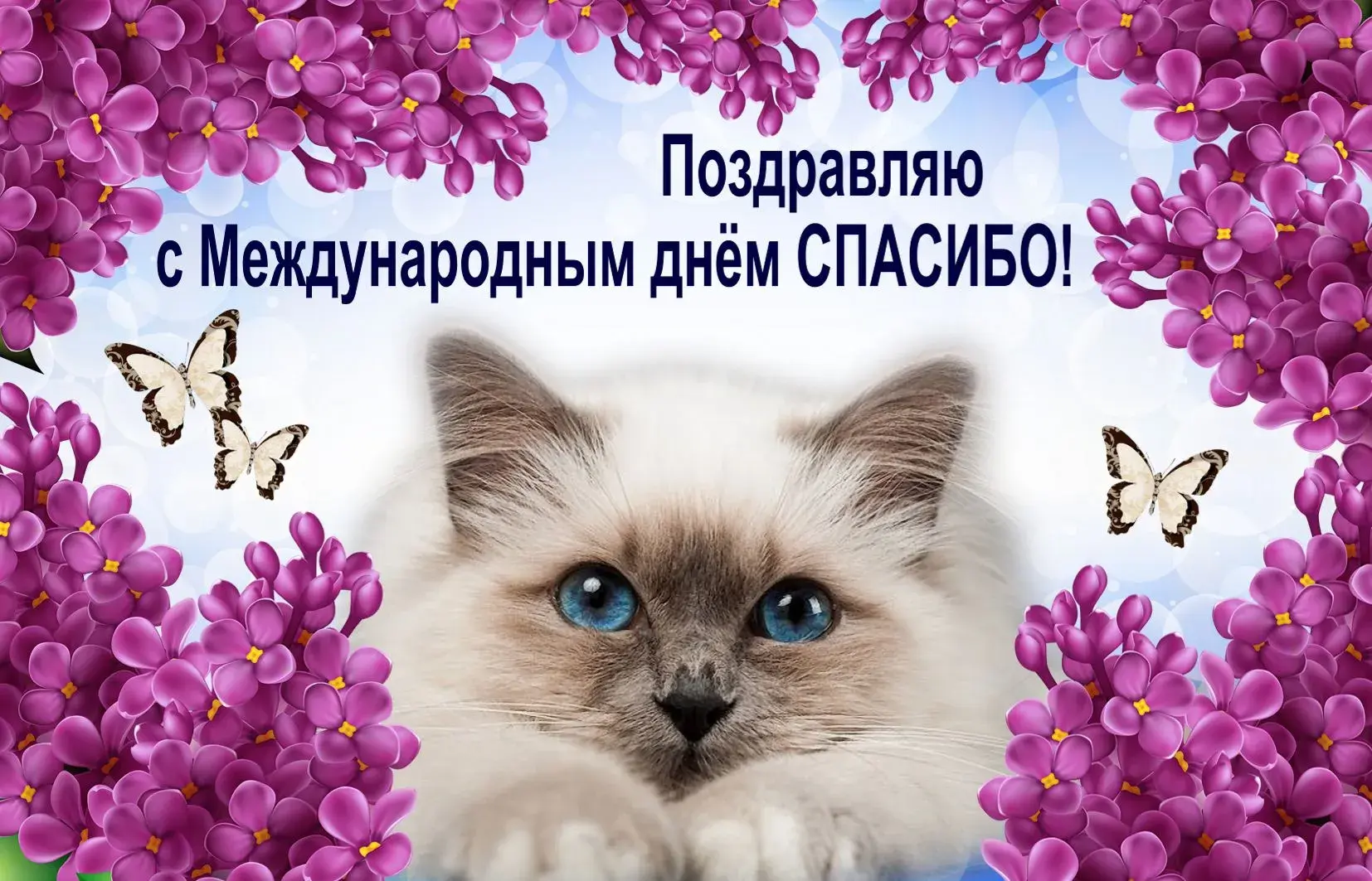 Открытка День спасибо - С Днём! Милый кот с лавандой и бабочками | Красивая открытка #85