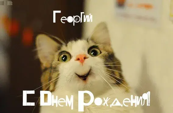 Открытка открытки с именем Георгий  - Открытка с котом на день рождения | Красивая открытка #181