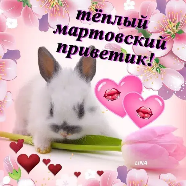 Открытка Март - Открытка с кроликом и цветами | Красивая открытка #8
