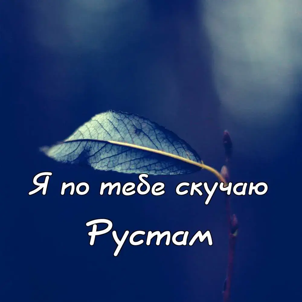 Открытка Открытки с именем Рустам - Листок на фоне неба: открытка «Я скучаю» | Красивая открытка #62