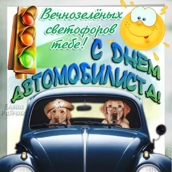Открытка Открытки с днем автомобилиста - Две собаки в машине: открытка с собаками | Красивая открытка #83