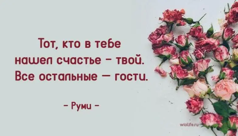 Открытка Высказывания, мысли - Розовые бутоны роз на белом фоне | Красивая открытка #50