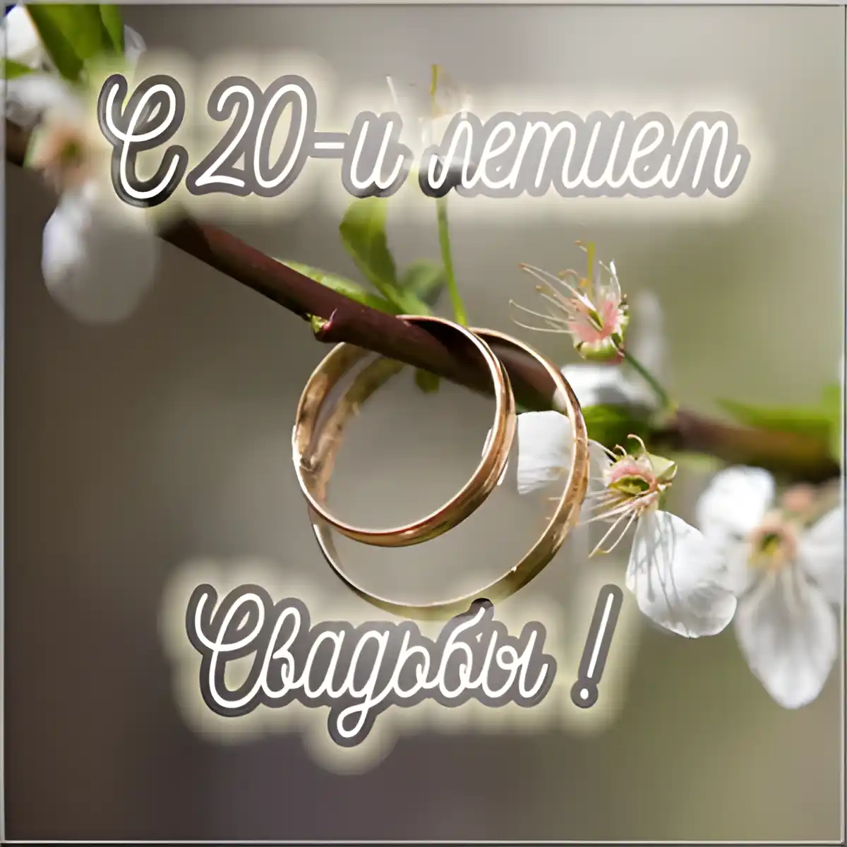 Открытка 20 лет - фарфоровая свадьба - Обручальные кольца на цветущей ветке | Красивая открытка #22