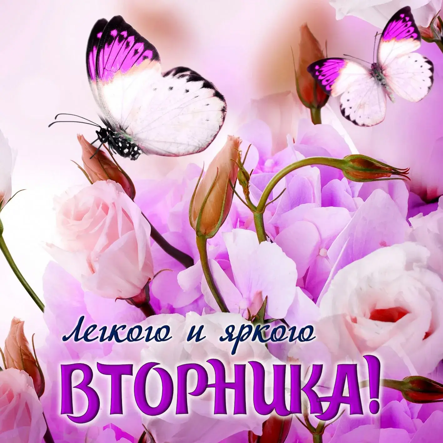 Открытка Доброе утро вторник - Ветки роз и бабочки: нежные открытки с цветами | Красивая открытка #38