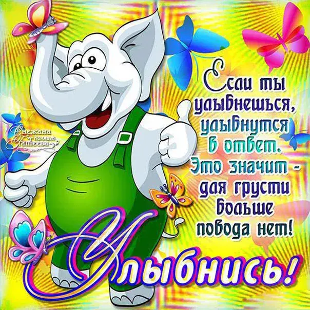 Открытка Не грусти - Открытка с веселым слоном и бабочками | Красивая открытка #59