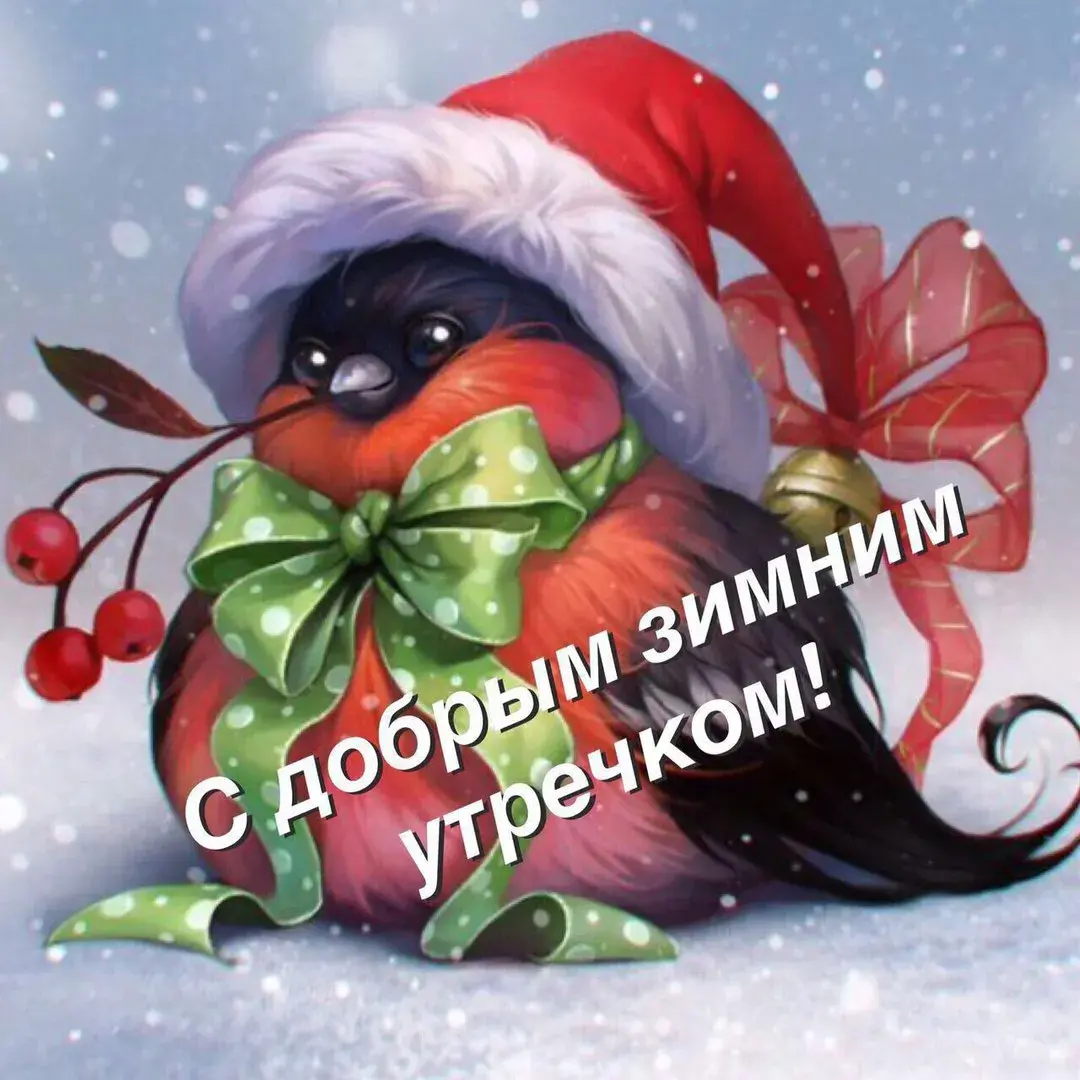 Открытка Доброе утро - Пингвин в шапке с елочными ветками | Красивая открытка #501