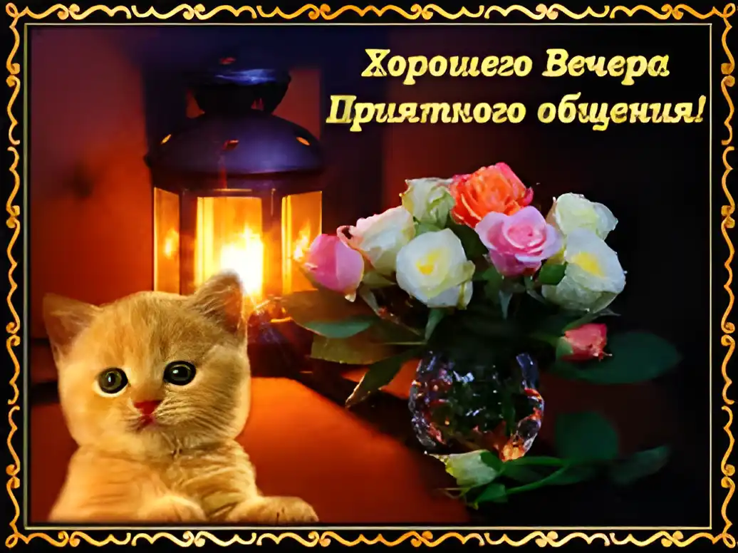 Открытка Хорошего вечера - Котенок и цветы: Красивая открытка с котенком | Красивая открытка #109